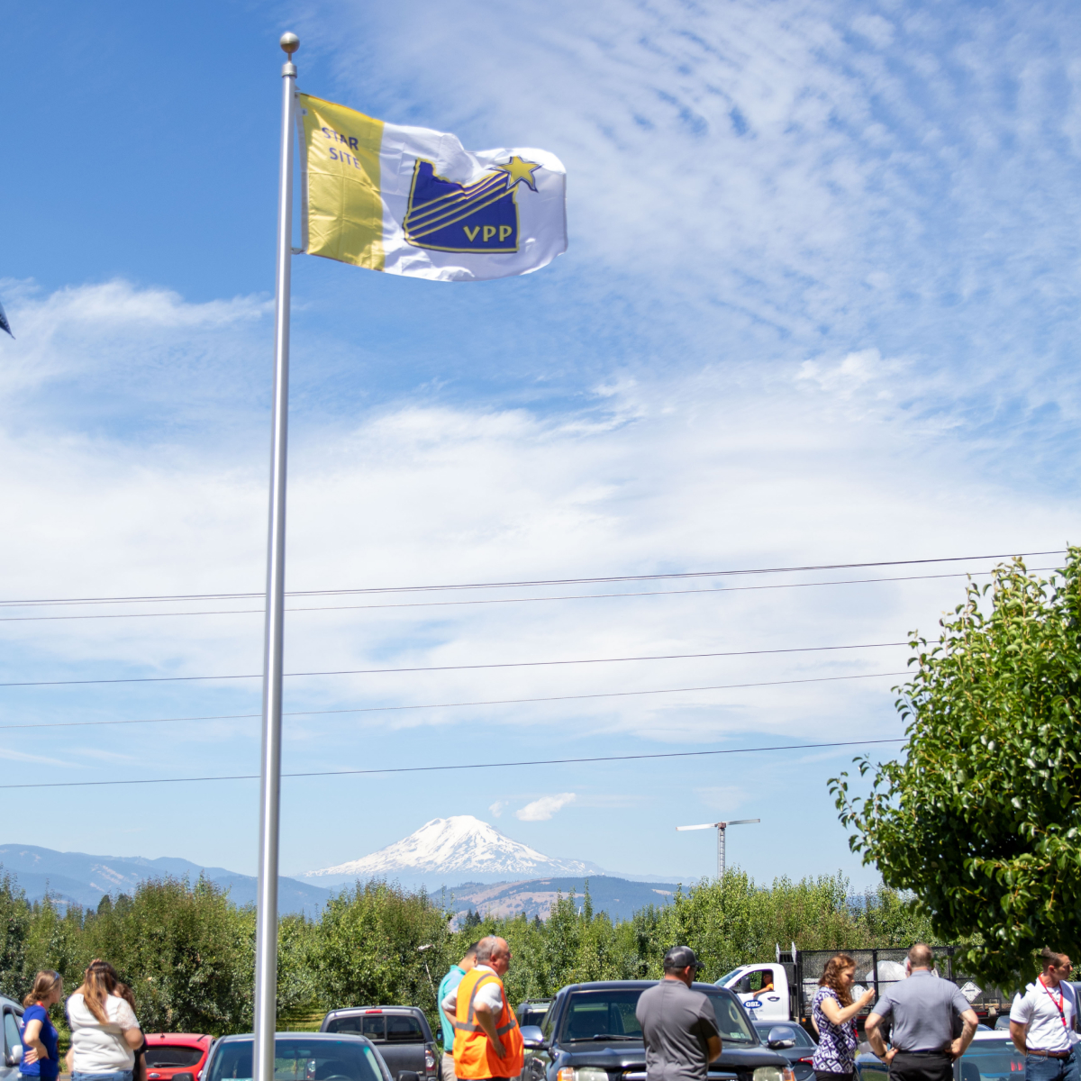 The VPP flag hanging outside Cardinal.